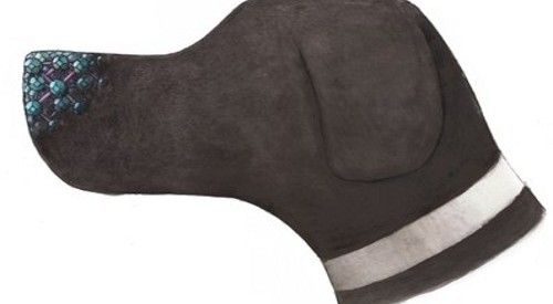 KU-Leuven-elektr-neus1